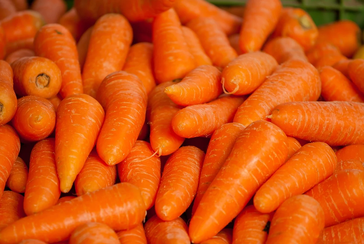 carrots-1508847_1280.webp