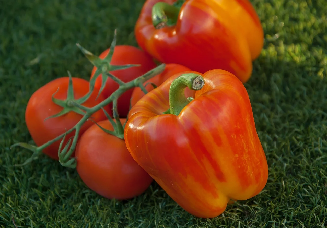peppers-2673135_1280.webp