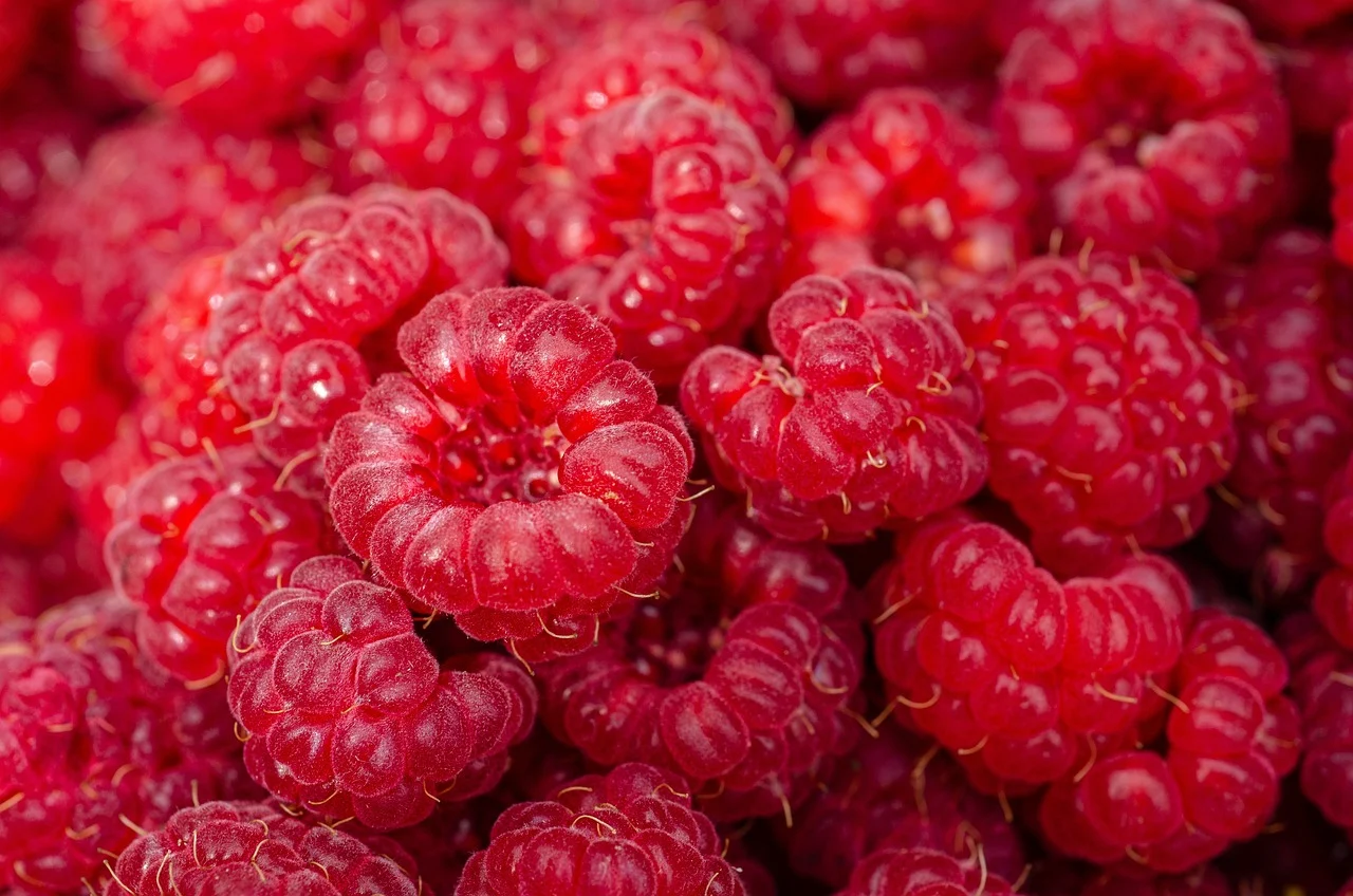 raspberries-7313700_1280.webp